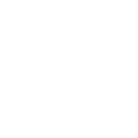 About ICON